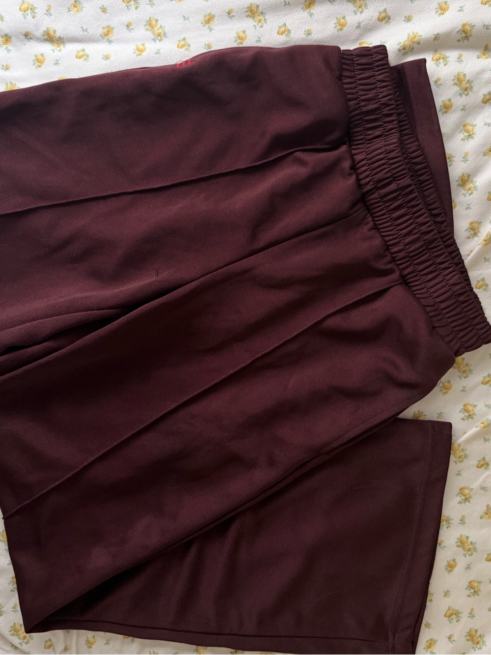 BDG Elastic Waist Maroon Track Pants